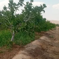 همه شهر ها