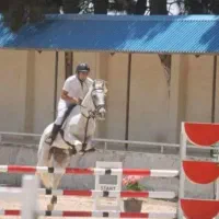 باشگاه سوارکاری دهقان.. پانسیون باغچه رستوران کافه