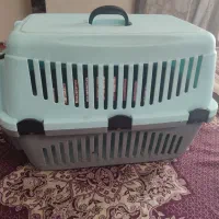 باکس گربه