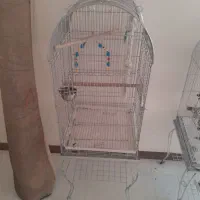 قفس بزرگ فقط ۲ملیون