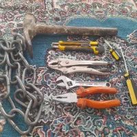 انبرقفلی وفرانسه کوچک