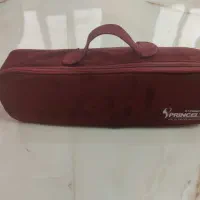 سشوار چرخشی Princely