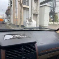 مسافر گرگان ساری گنبد تهران