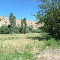 فروش-زمین-کشاورزی