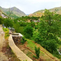 لطفا آگهی رو بخوانید
