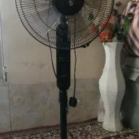 پنکه blume