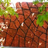 نمای جنکلی
