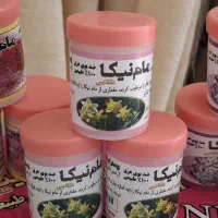 مام نیکا