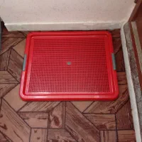 وسایل سگ ۲تومن گذاشتم هرکس خواست کمترمیشه