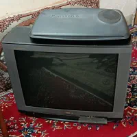 تلویزیون پاناسونیک و سونی