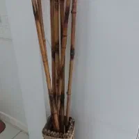بامبو مصنوعی