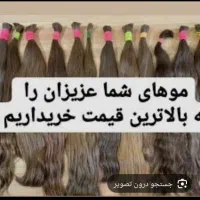 خریدارمو .فروش مو کوتاهی رایگان مو