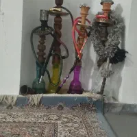 ۴ عدد قلیان