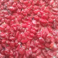 زرشک پفکی