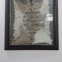 تابلو پوست درحد نو ۳ملیون تومان.مقطوع
