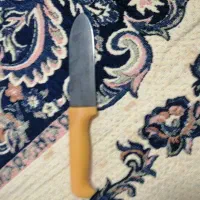 چاقوی تخته کاری و اشپزخانه