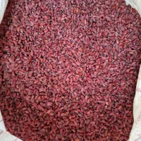 زرشک پفکی بیرجند