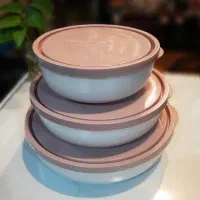 ظرف فریزری (چند منظوره) 3 عددی گلدن اوپال