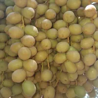 خارک برهی