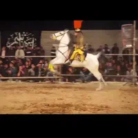 مادیان مجلسی