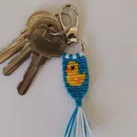 جاسوئیچی اردک آلفا بافی
