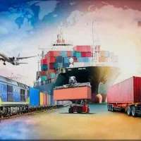 همکار خانم در دفتر ترخیص کالا