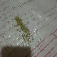 فسفات نقد و اقساط