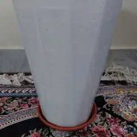 گلدان|گل و گیاه طبیعی|پیشوا, |دیوار
