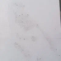 تابلو چلنیوم