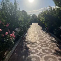 این باغ و بخر میوه نخر/یزدانی