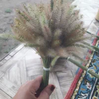 دسته گیاه تزئینی طبیعی
