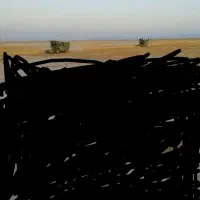 زمین کشاورزی