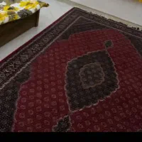 فرش ریز ماهی تر تمیز