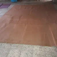 موکت|موکت|گرگان, |دیوار