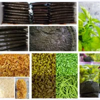 سبزی قرمه سرخ شده باارسال رایگان
