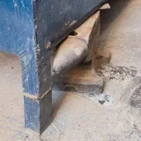سندون