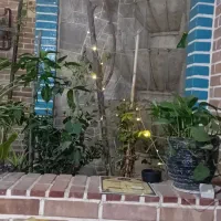 اجاره حیاط دربست