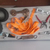 کلکسیونی