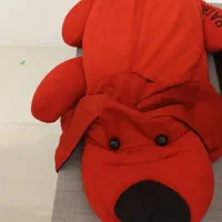 عروسک
