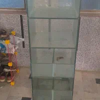 قفسه شیشه‌ای