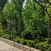 باغ-ویلا600-سهیلیه-آغچه-حصار-کردان-بهاران