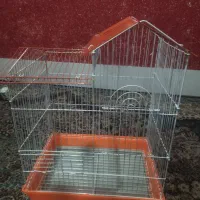 قفس مناسب عروس هلندی