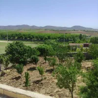 فروش-باغ-و-ملک-با-درختان-ثمری