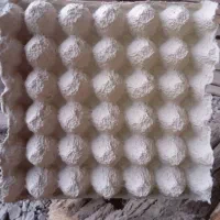شانه تخم مرغ تمیز