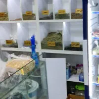 دکور   قفسه