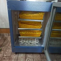 دستگاه جوجه کشی ۱۲۶عددی بلدرچین دماوند