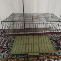 قفس  پرنده