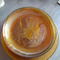 ظروف طرح میگوعسلی خارجی