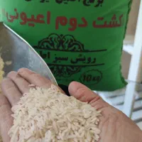 برنج ایرانی