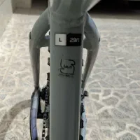 جاینت رینکون 1